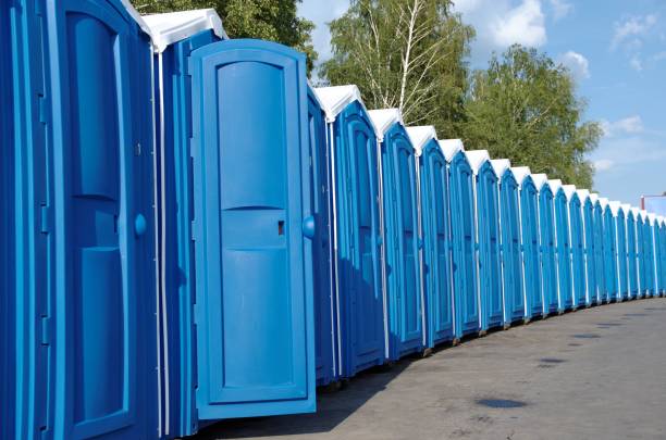 Best Local porta potty services  in Carpendale, WV